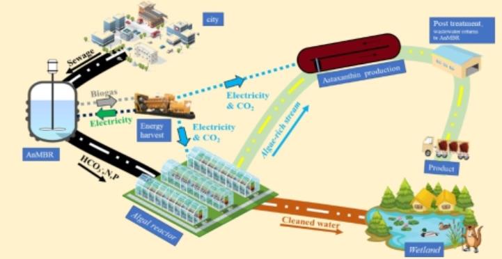 中國科學院重慶綠色智能技術(shù)研究院在污水處理新型工藝研究方面取得進展